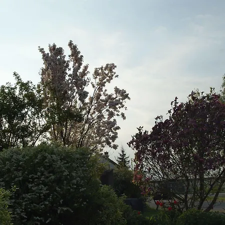 Waldesblick, Hotel-restaurant 4*