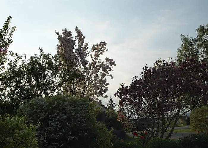 Waldesblick, Hotel-restaurant 4*