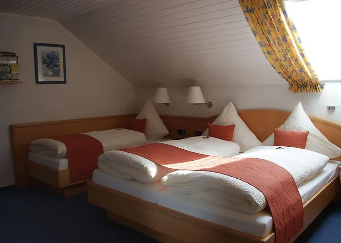 Waldesblick, Hotel-restaurant 4*